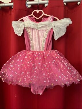 Pink Princess Tutu Dress-Up Costume for Kids